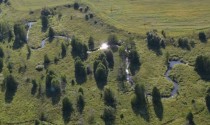 Беларусь, агрометеорология, посевная, атмосферные осадки, почва, полевые работы, урожай, урожайность, Белгидромет