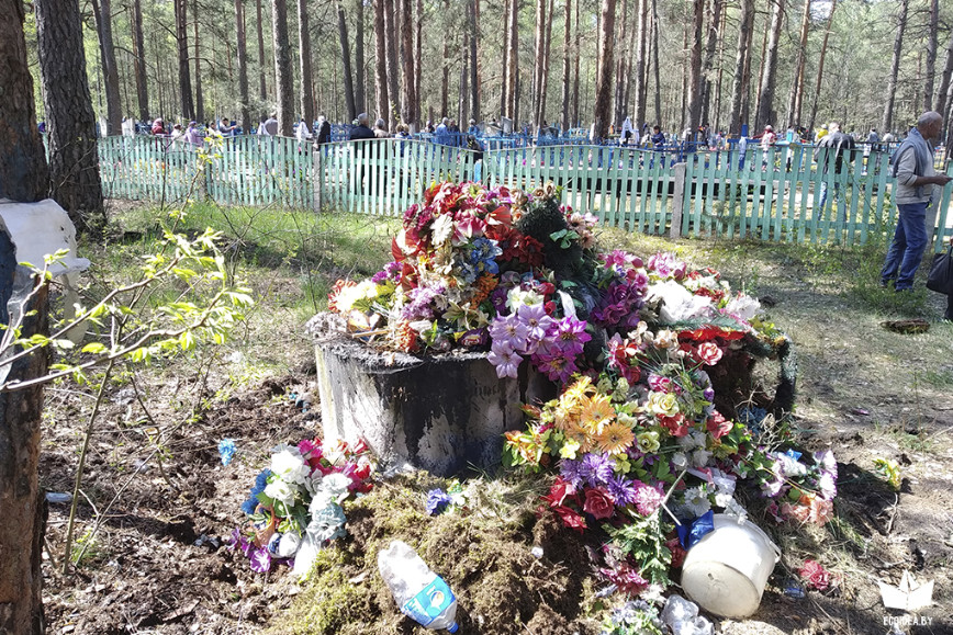 Около деревни Крупка Лельчицкого района Гомельской области