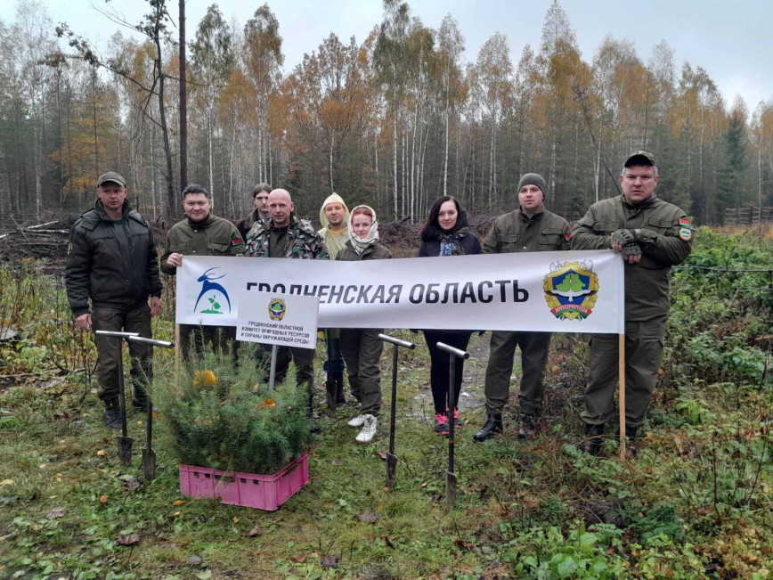 Работники Гроднооблгидромета приняли участие в акции «Дай лесу новае жыццё!»